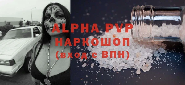 индика Нея