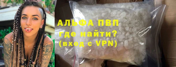 ешки Новозыбков