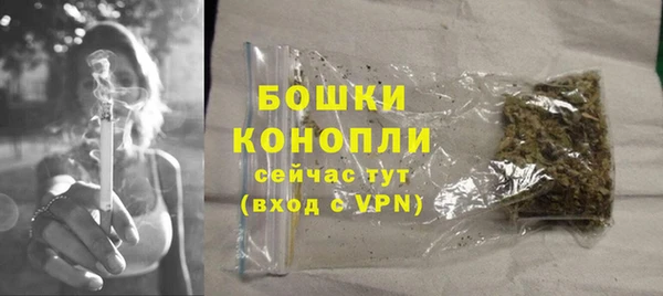стафф Новодвинск
