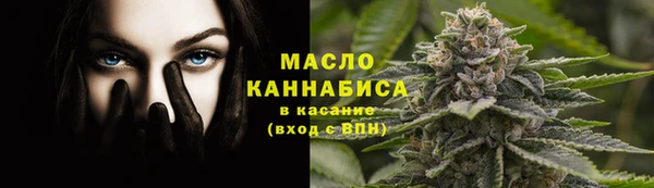 стафф Новодвинск