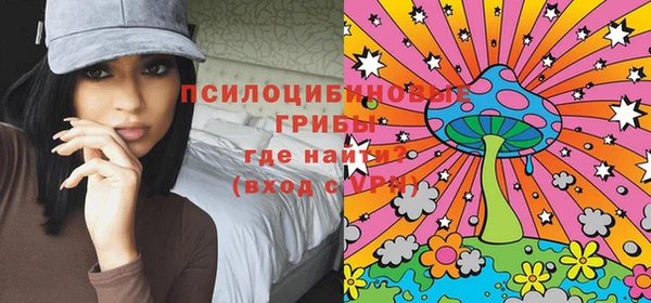 индика Нея