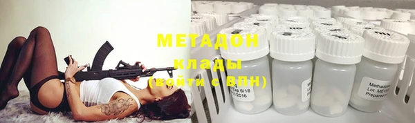 индика Нея
