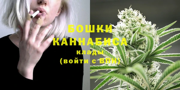 ешки Новозыбков