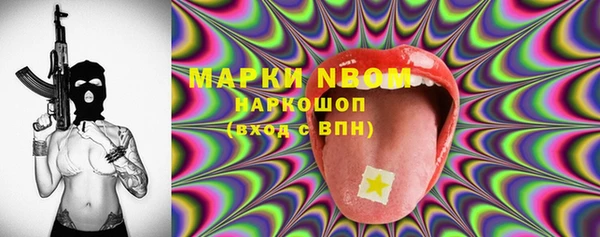 индика Нея
